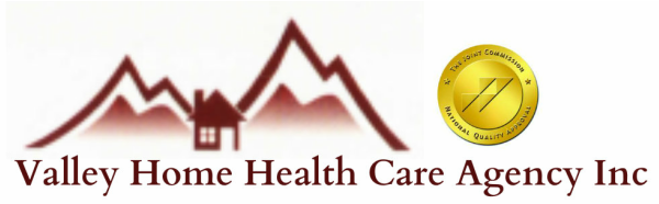 Valley Home Health Care Agency Inc